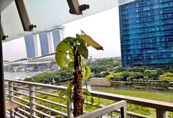 The Sail @ Marina Bay (D1), Apartment #596431621